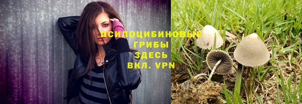 Альфа ПВП Володарск