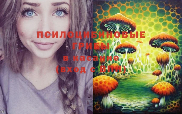 мдпв Волоколамск